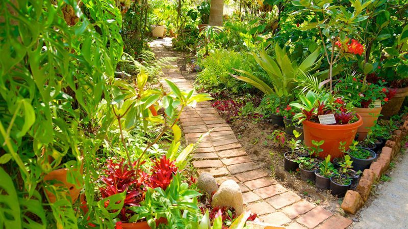 Vallarta Botanical Gardens