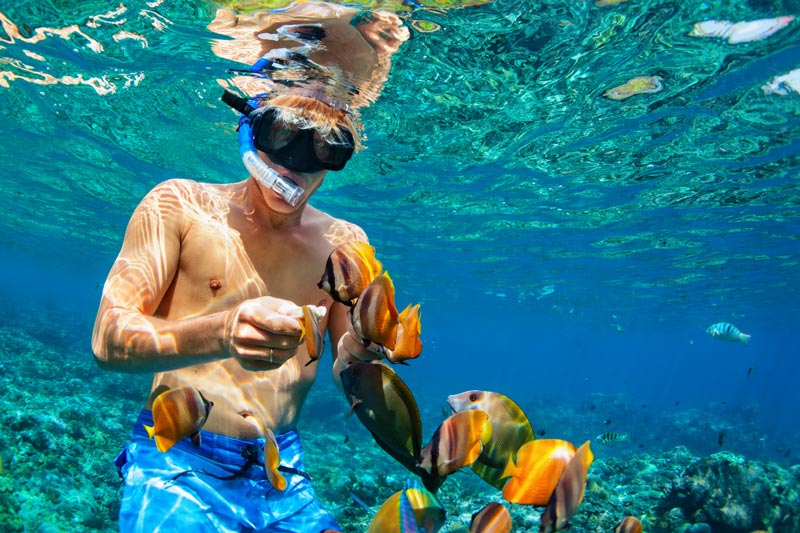Snorkeling and Eco Paradise 
