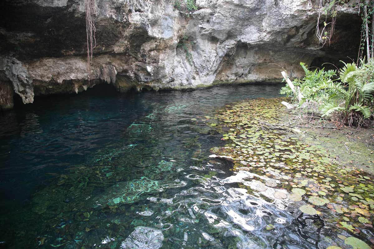 Gran Cenote mejores cenotes