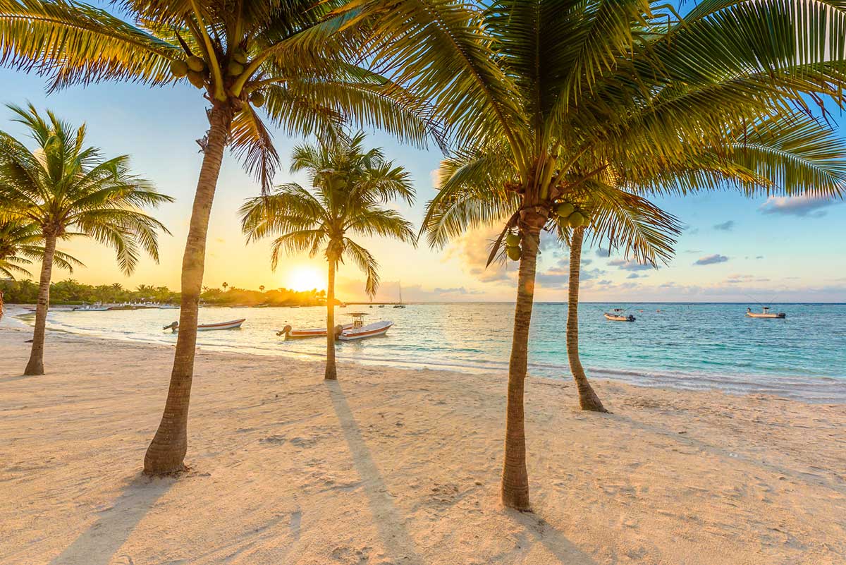 Playa en Cancún con altas palmeras