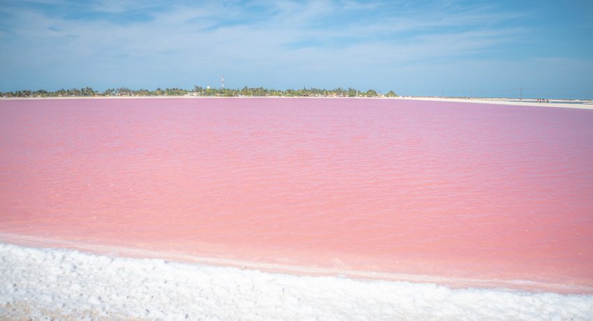The Incredible Pink Lakes of Las Coloradas