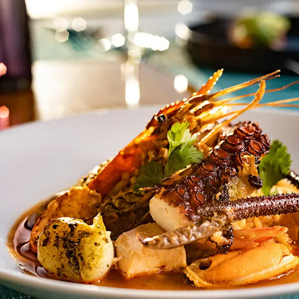 Cocina Gourmet