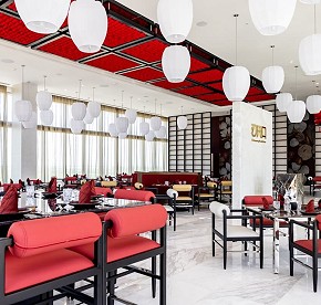 Nuestra galería revela los secretos de los restaurantes de Garza Blanca Cancún. Admira las vistas panorámicas y platos exquisitos que te esperan.