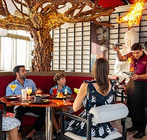 Nuestra galería revela los secretos de los restaurantes de Garza Blanca Cancún. Admira las vistas panorámicas y platos exquisitos que te esperan.