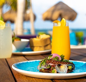 Nuestra galería revela los secretos de los restaurantes de Garza Blanca Cancún. Admira las vistas panorámicas y platos exquisitos que te esperan.