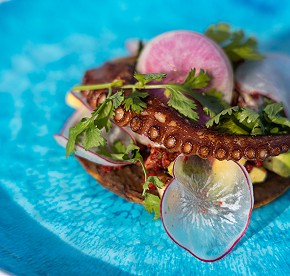 Nuestra galería revela los secretos de los restaurantes de Garza Blanca Cancún. Admira las vistas panorámicas y platos exquisitos que te esperan.