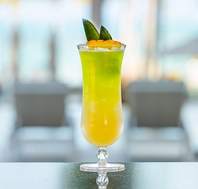 Nuestra galería revela los secretos de los restaurantes de Garza Blanca Cancún. Admira las vistas panorámicas y platos exquisitos que te esperan.