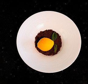 Nuestra galería revela los secretos de los restaurantes de Garza Blanca Cancún. Admira las vistas panorámicas y platos exquisitos que te esperan.