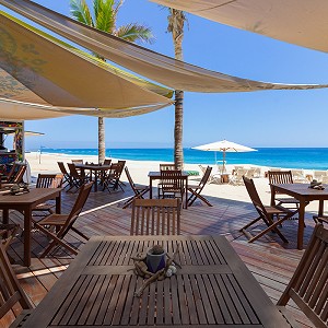 La cocina de clase mundial se encuentra con la belleza natural en nuestros restaurantes en Los Cabos. Descubre la fusión perfecta a través de nuestras fotos.