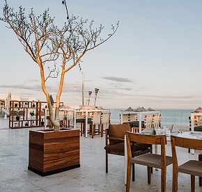 La cocina de clase mundial se encuentra con la belleza natural en nuestros restaurantes en Los Cabos. Descubre la fusión perfecta a través de nuestras fotos.